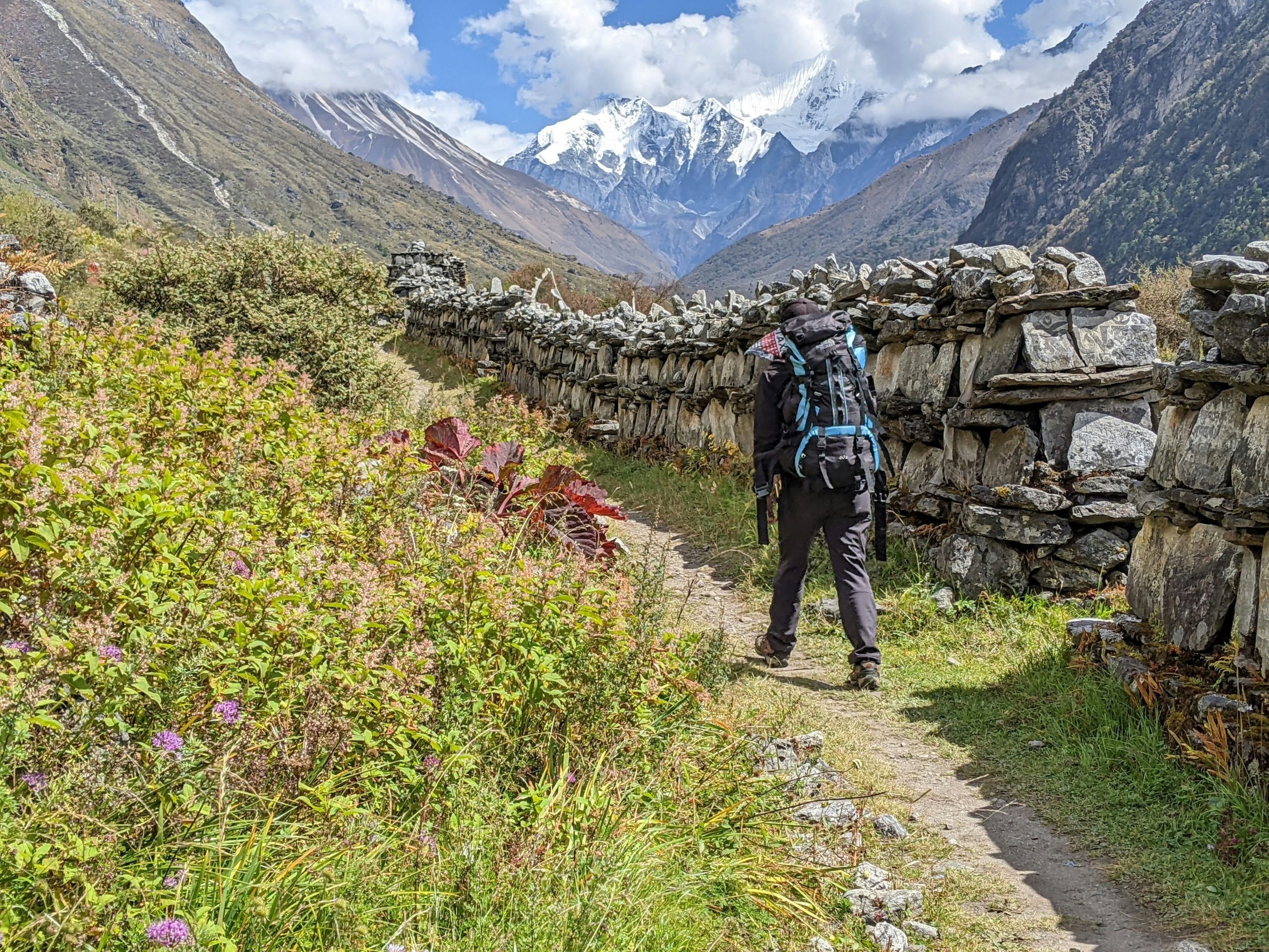 Forested trail in the Langtang Valley beneath snow-capped Himalayan peaks