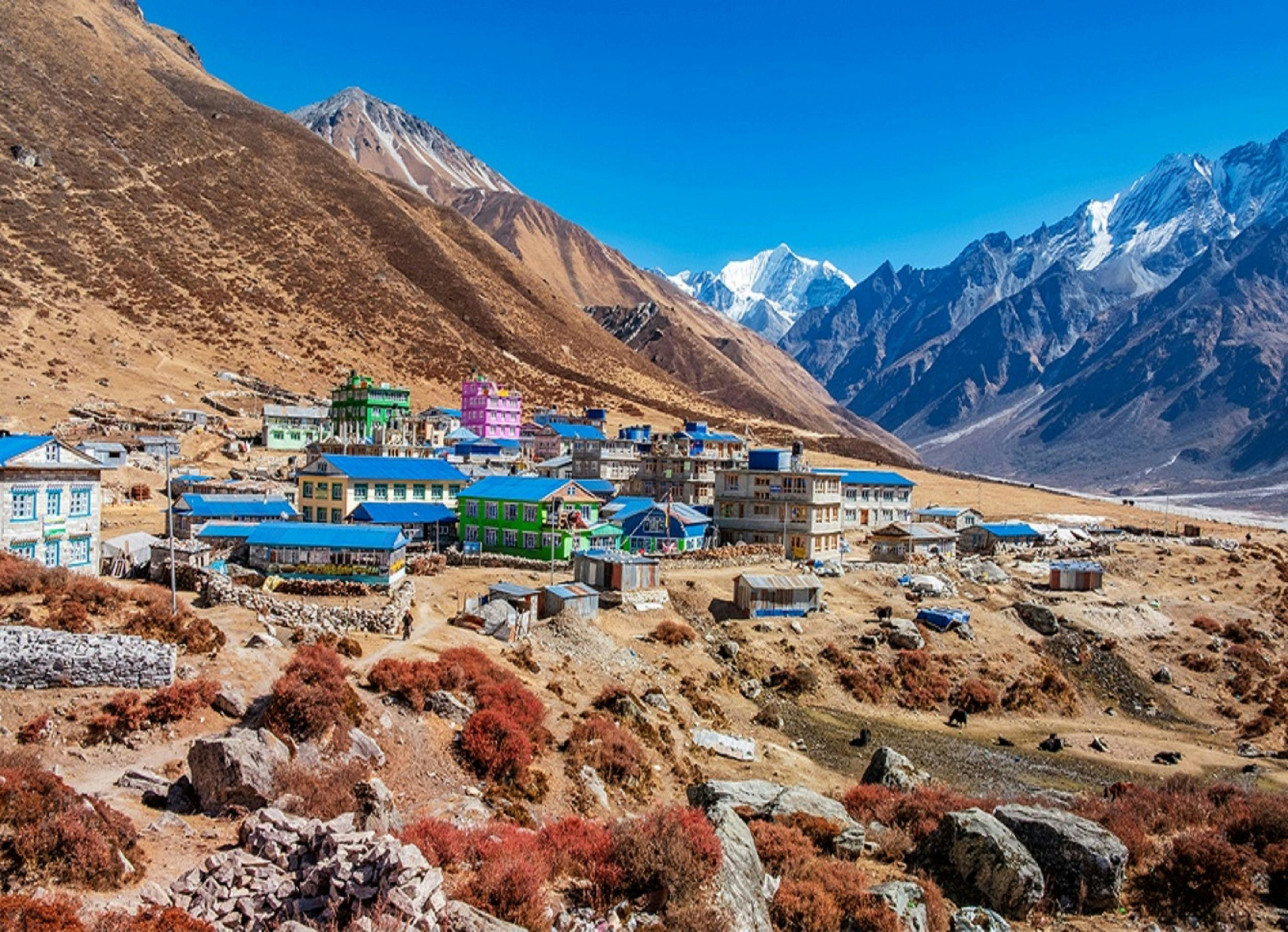 Kyanjin Gompa, the last village in the Langtang Valley